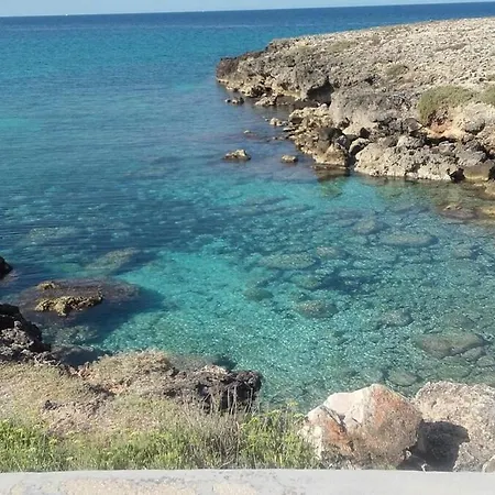 Mary Vista Mare *